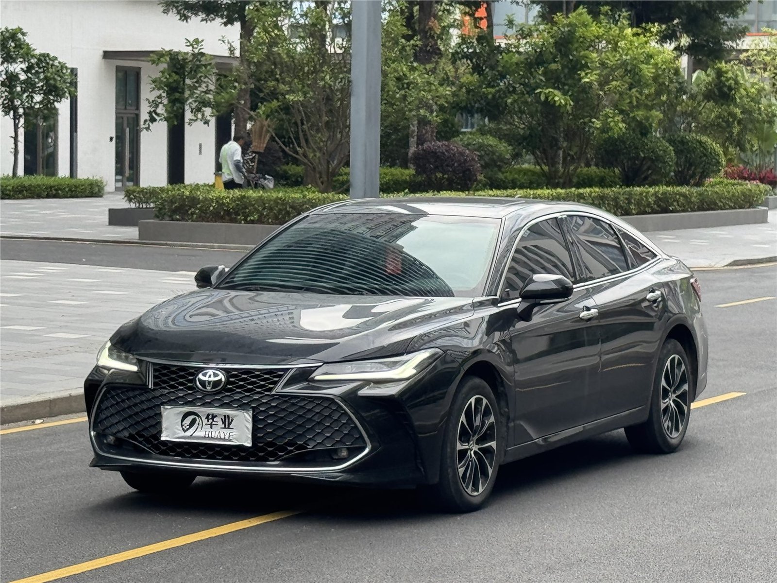 丰田 亚洲龙 2023款 2.5L 豪华版